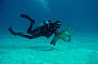 Advanced Dive Course - 3 D/ 2 N (must be a certified open water diver prior to course)