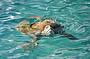 Airlie Adventure Turtle Encounters
