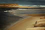 Beach & Forest Eco Adventure 9am Departure