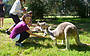Mount Lofty Descents by Mountain Bike