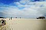 Beach & Forest Eco Adventure 9am Departure